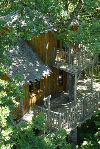 Tree house Tree house